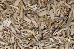biomass boilers Little Brechin